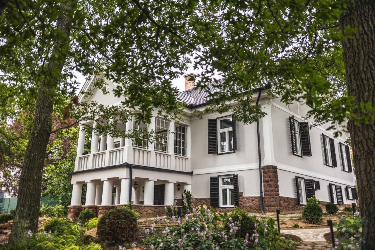 Villa Chez Les Amis - Adults Only Балатонсепезд Екстериор снимка