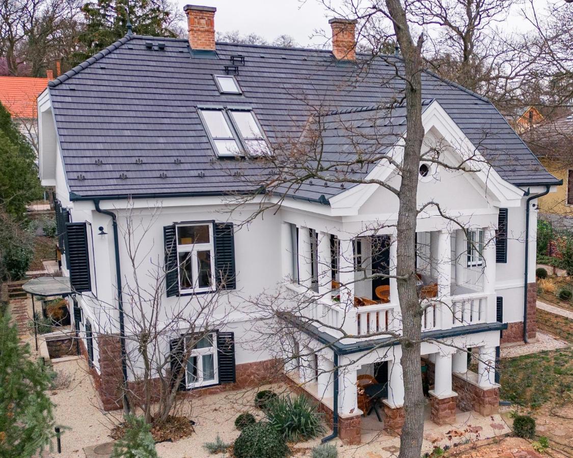 Villa Chez Les Amis - Adults Only Балатонсепезд Екстериор снимка